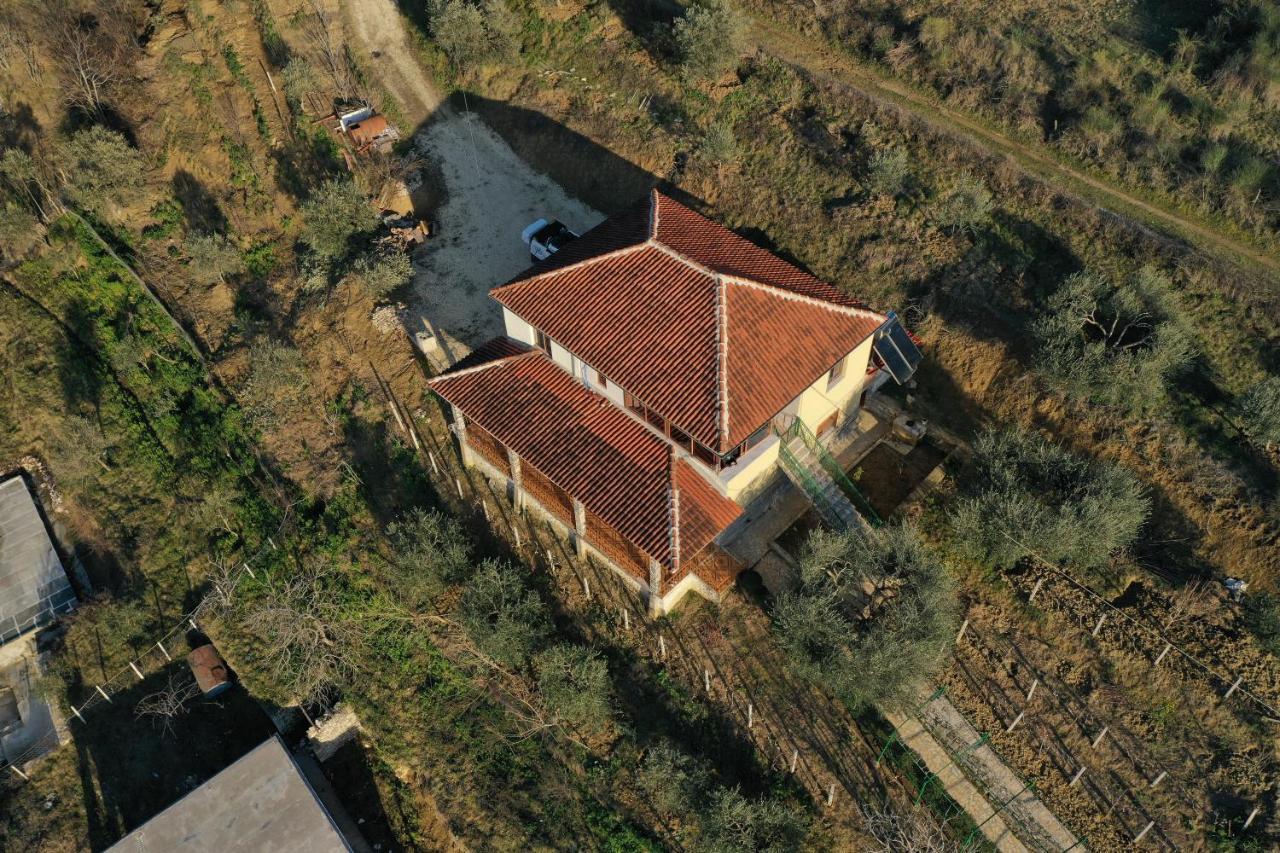 Guest House Pashollari ベラト エクステリア 写真